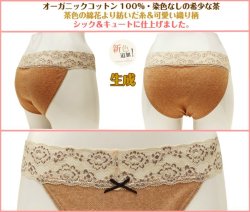 画像4: 27％OFF ストレッチ【ブラウン】オーガニックコットン１００％　ふんどしパンツ,ふんどしショーツ,ふんどし,褌