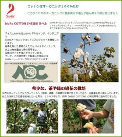 画像9: ３０〜２０％OFF【コットン当布つき】オーガニックコットン１００％（ふんどしパンツ,ふんどしショーツ,ふんどし,褌）