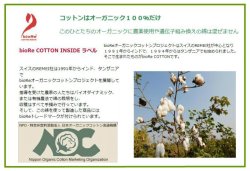 画像6: ２７％OFF　 ストレッチ【グレー】オーガニックコットン１００％（ふんどしパンツ,ふんどしショーツ）