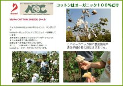 画像15: Ri楽ショーツ　３Ｌ・４Ｌ　５％OFF【バラレース：オーガニックコットン100％】フンドシパンツ,ふんどしショーツ,ふんどし,褌）