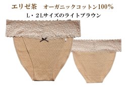 画像15: 27％OFF ストレッチ【ブラウン】オーガニックコットン１００％　ふんどしパンツ,ふんどしショーツ,ふんどし,褌