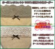 画像8: ストレッチ・ピコ【細幅２色ボーダー】オーガニックコットン１００％　（ふんどしパンツ,ふんどしショーツ,ふんどし,褌）