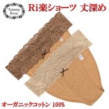 画像: ストレッチ【ブラウン：股上深め】オーガニックコットン１００％　ふんどしパンツ,ふんどしショーツ,ふんどし,褌